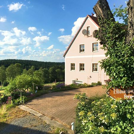 Spacious Apartment With Sauna In Schonsee Dietersdorf Exterior foto